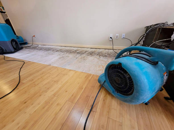 Professional Basement Flood Cleanup technician working in Montpelier, ND
